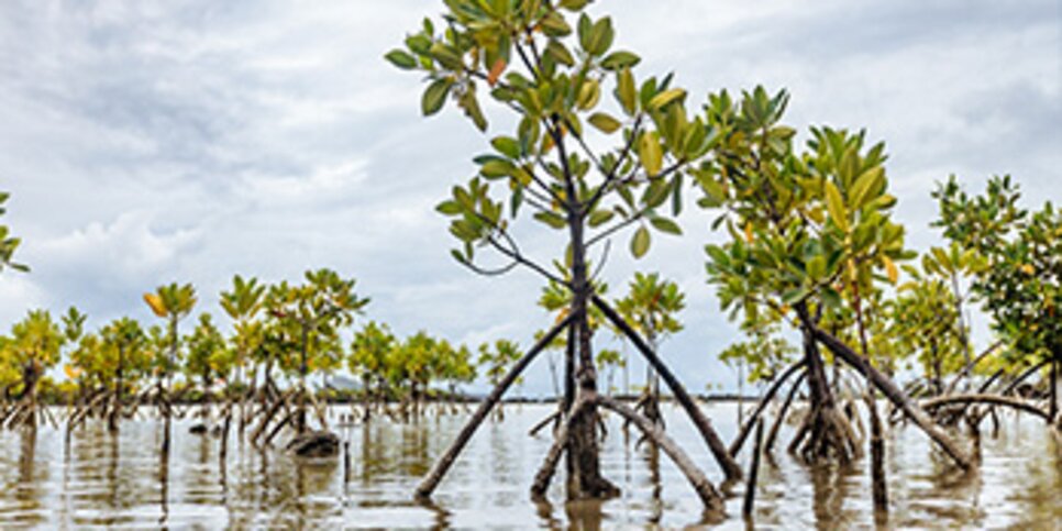 Mauritius Holidays | Book For 2024/2025 Now | Kuoni