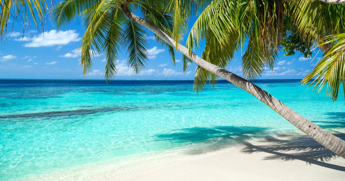 Booking a holiday for 2027/2028: what you need to know