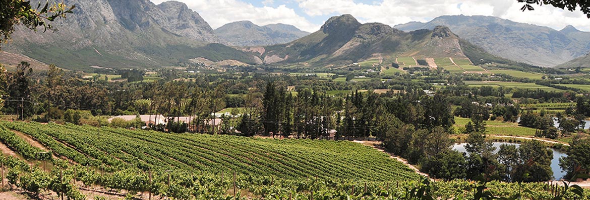 Franschhoek Wine Tram
