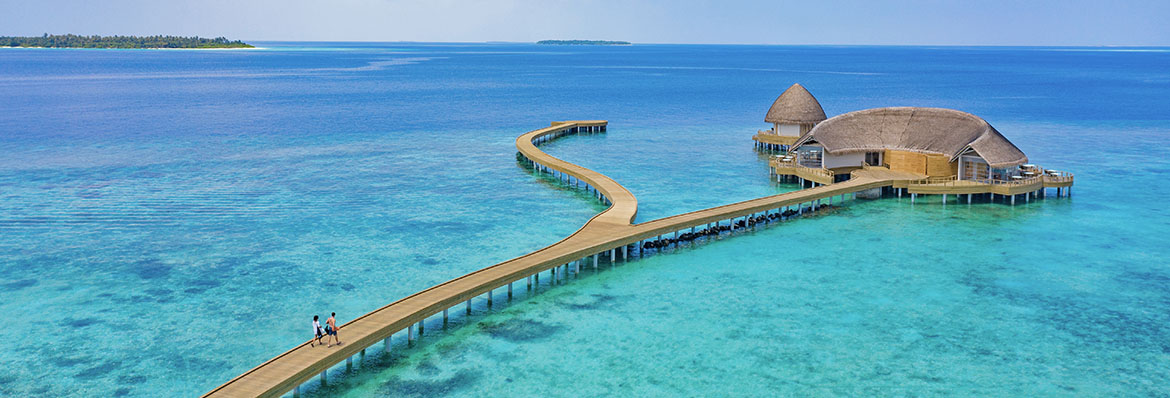 Fresh insight from our experts in the Maldives