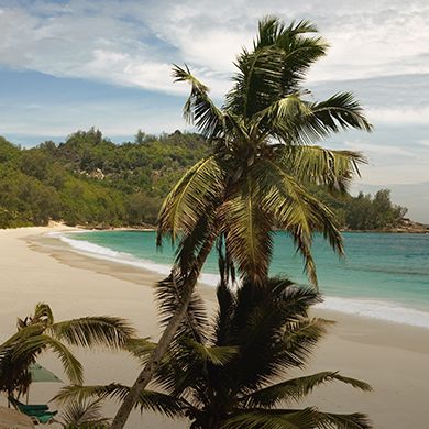 Beach Beach