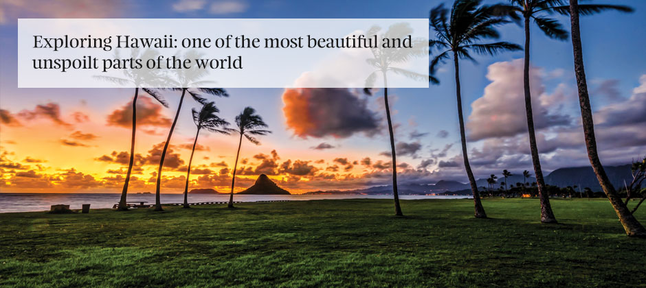Our mini Hawaiian island guide