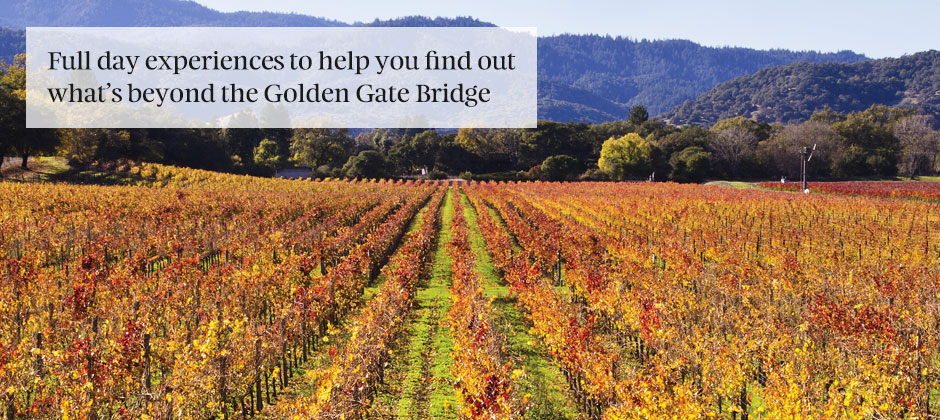 Experience San Francisco beyond the bridge