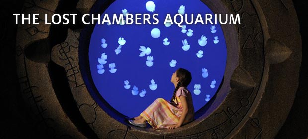 Lost Chambers Aquarium