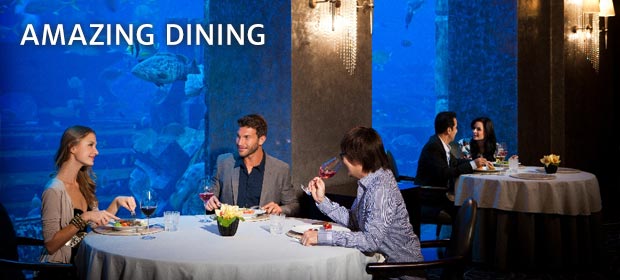 Amazing Dining