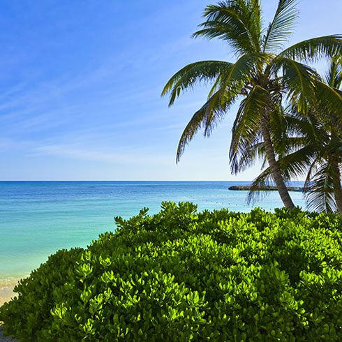 Discover the world with Princess Cruises Discover the world with Princess Cruises