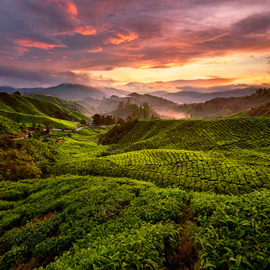 Discover the real Malaysia with Singapore Airlines