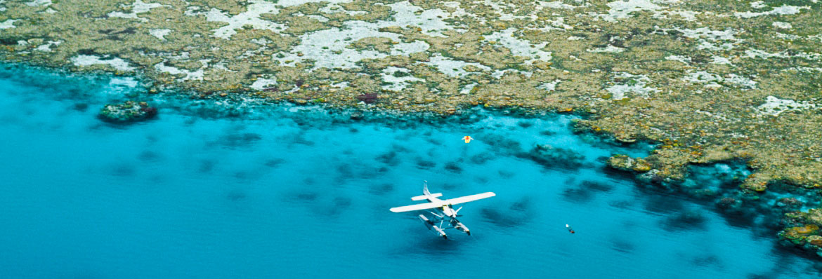 How to see... the Great Barrier Reef & Whitsundays