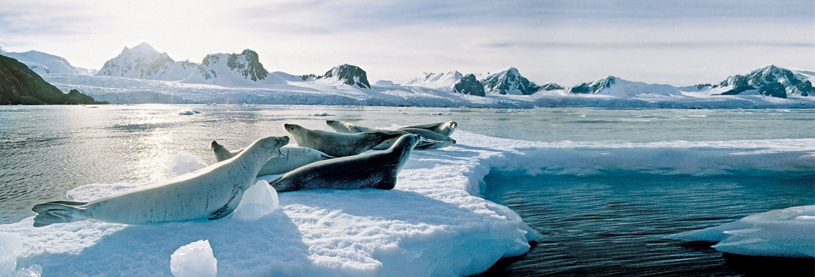 Dream journeys – Antarctica
