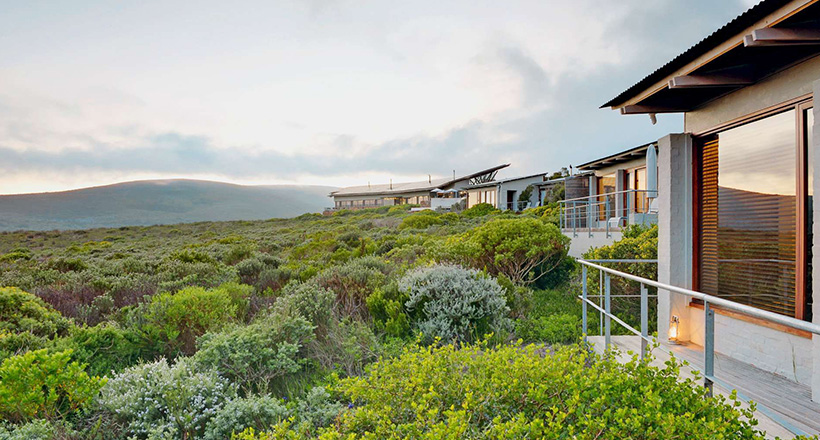 5 eco-friendly lodges that take you a step beyond the safari