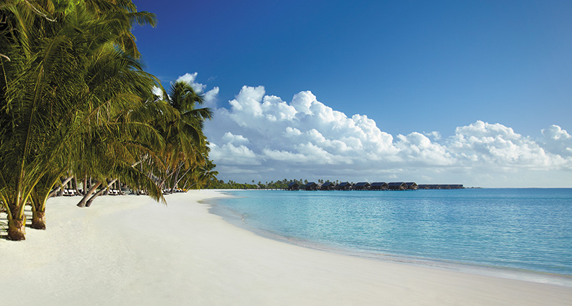 Maldives honeymoons