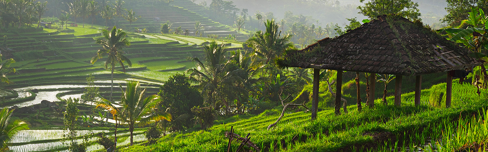 The most popular honeymoon destinations on Pinterest right now