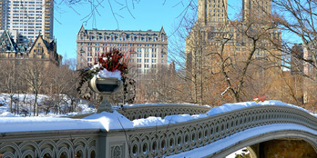 A Christmas fairytale in New York