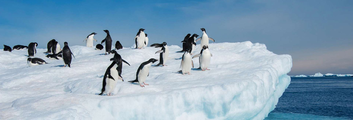 Antarctica: an adventure into the unknown