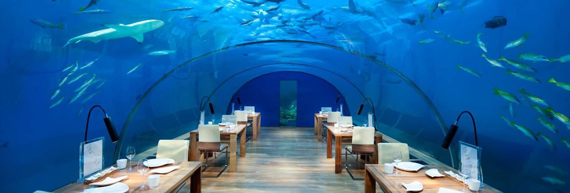 Ithaa - An underwater restaurant in the Maldives