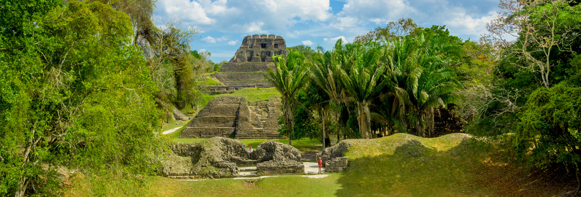 Spotlight on: Central America