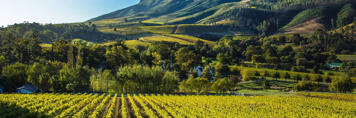 The flavours and food of South Africa