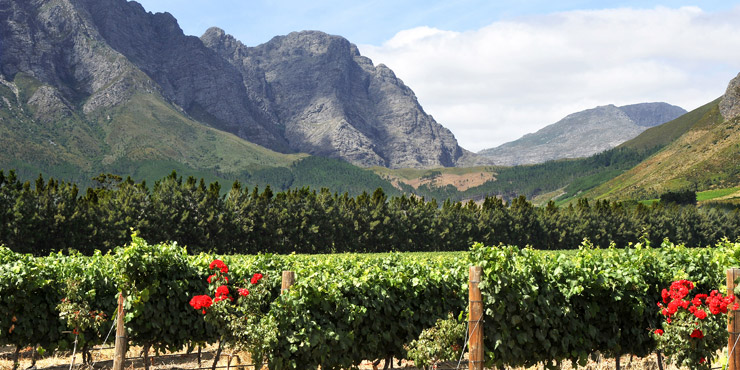 La Bri Estate Franschhoek