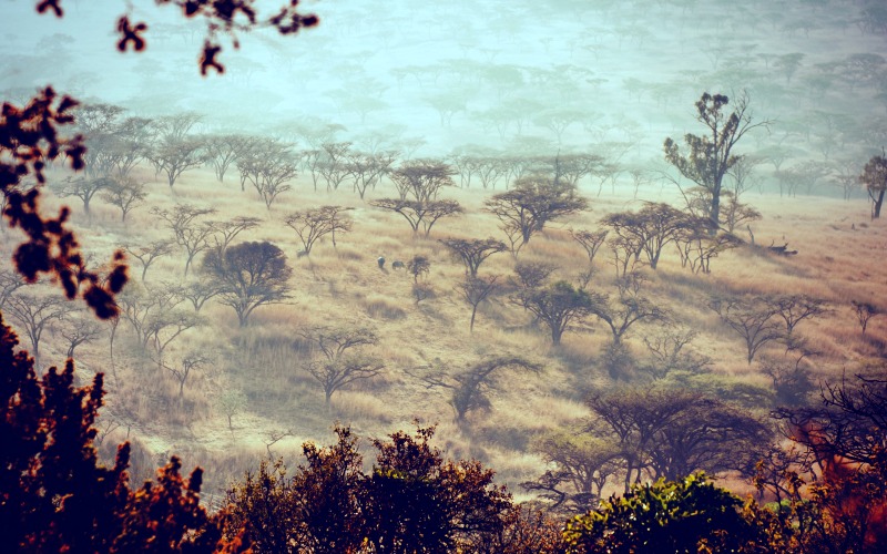 Battlefields near Spioenkop