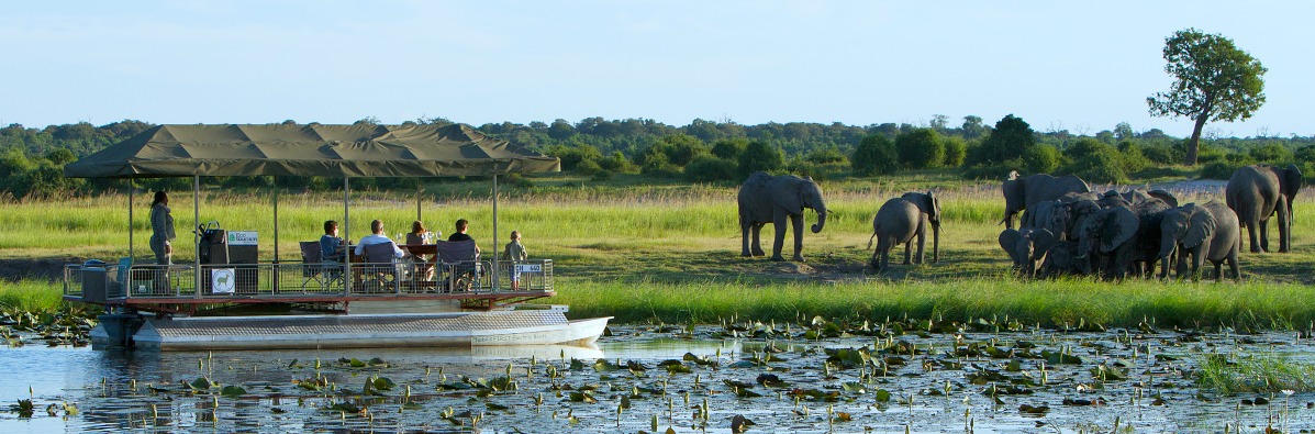 The expert's guide to Botswana