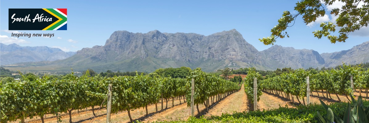 From Cape grapes to bunny chow: The Flavours of South Africa