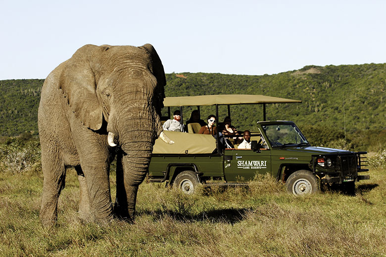 Shamwari Game Reserve