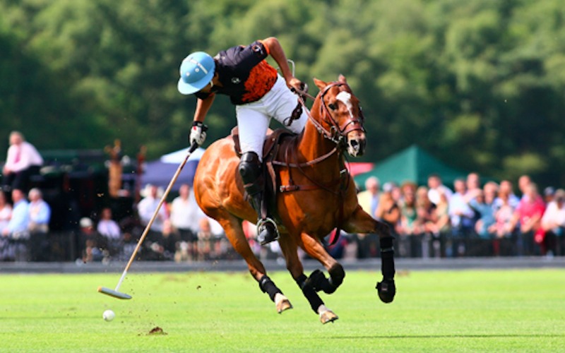 Polo player