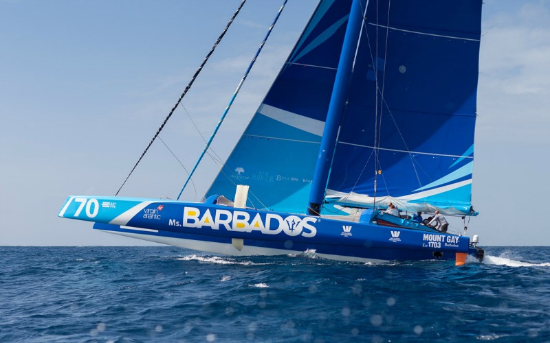 Racing Catamaran