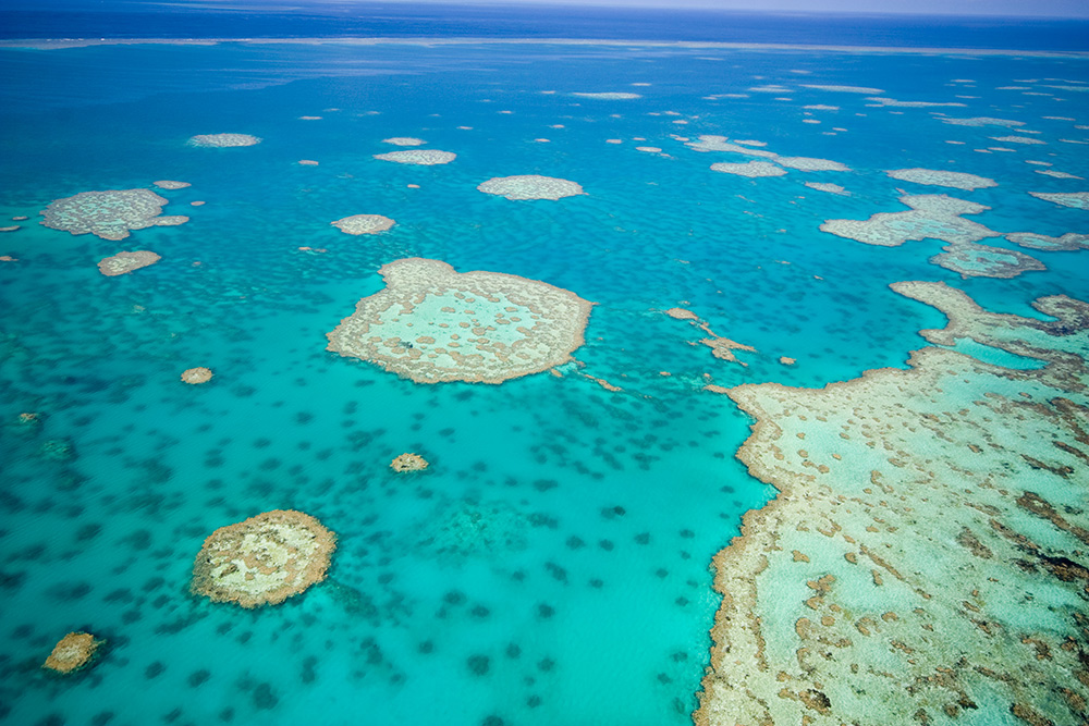 An Introduction to The Great Barrier Reef Kuoni