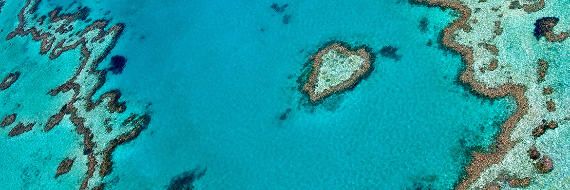 An introduction to the Great Barrier Reef