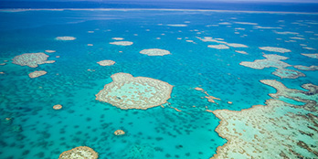 An introduction to the Great Barrier Reef