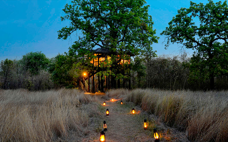 Pench Tree Lodge