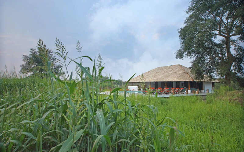 Svasara Jungle Lodge