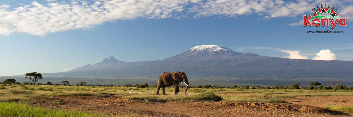 Why visit Kenya? Our guide to wildlife, culture & beach