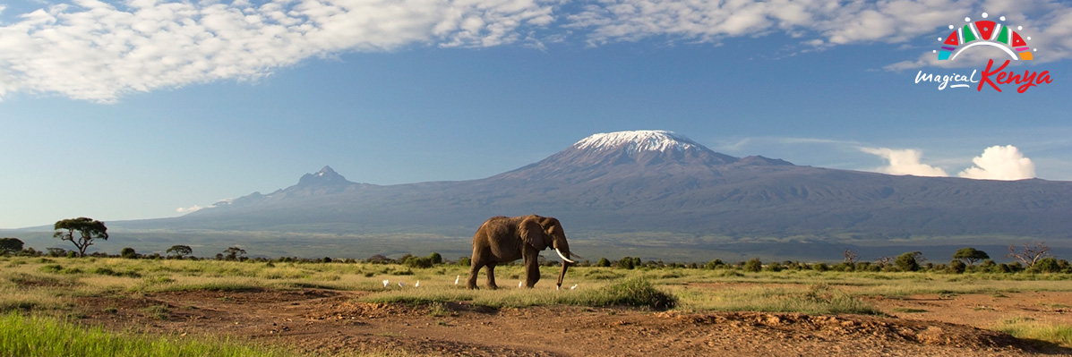 Why visit Kenya? Our guide to wildlife, culture & beach