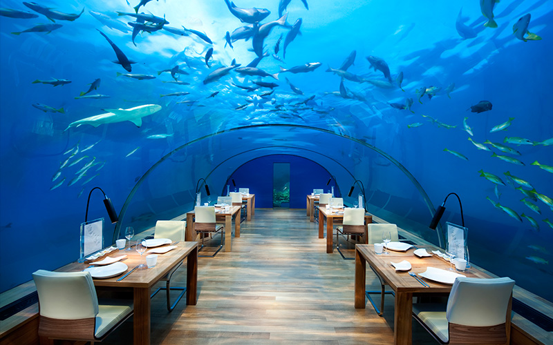 Ithaa Underwater Restaurant