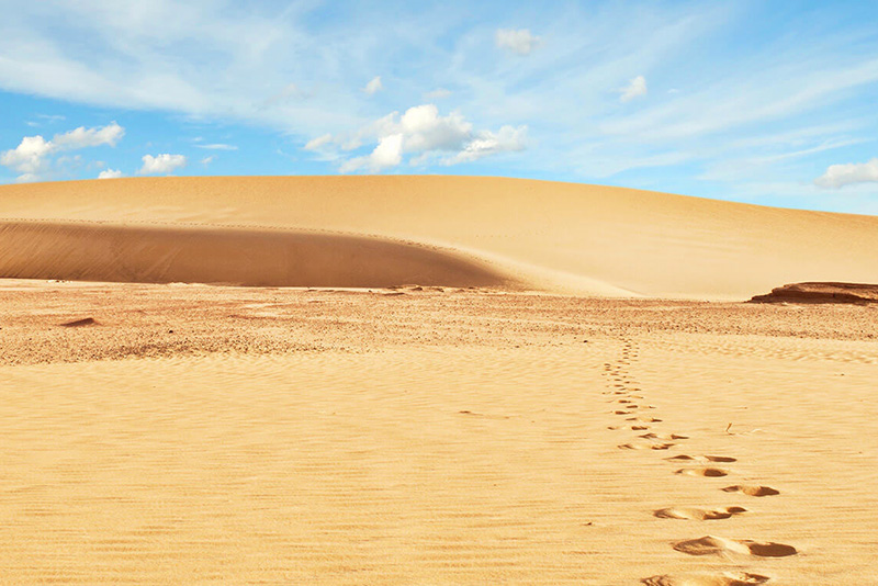 Sand dunes of Qatar