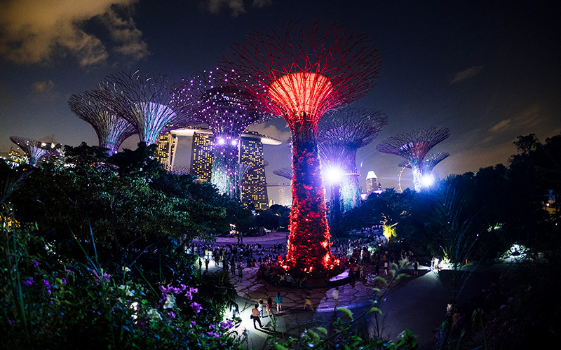 Gardens by the bay