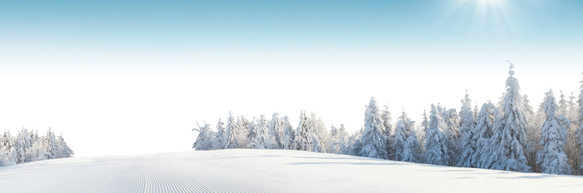 A beginner's guide to ski