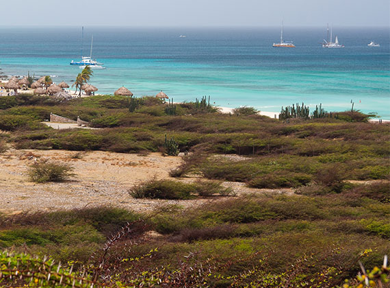 Arashi Beach