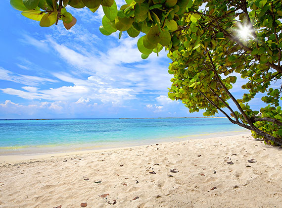 Baby Beach