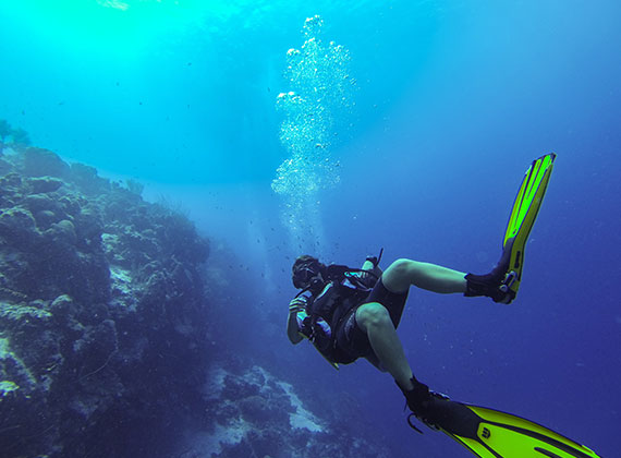 Malmok Beach Diving