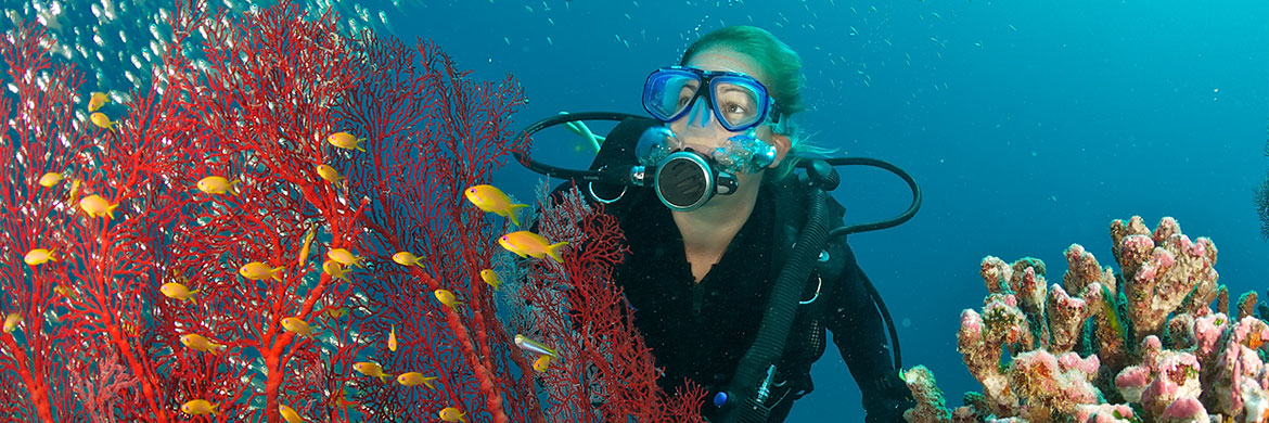 6 of the best places to dive in the Indian Ocean