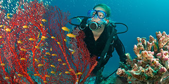 6 of the best places to dive in the Indian Ocean