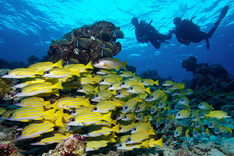 Kuredu Maldives