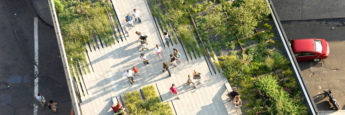 Why you need to walk the New York High Line
