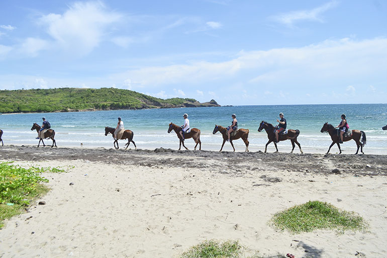 Horse riding in St Lucia
