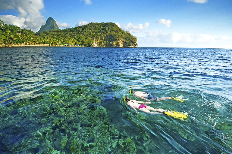 Anse Chastanet snorkelling