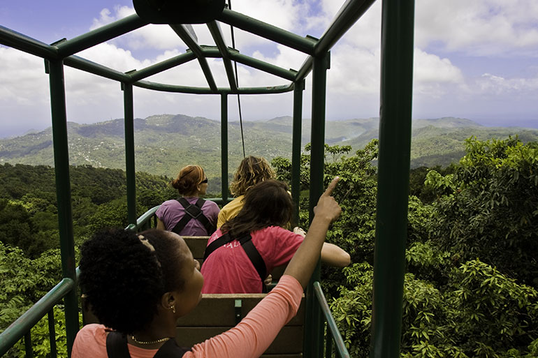 Tranopy rainforest tour in St Lucia