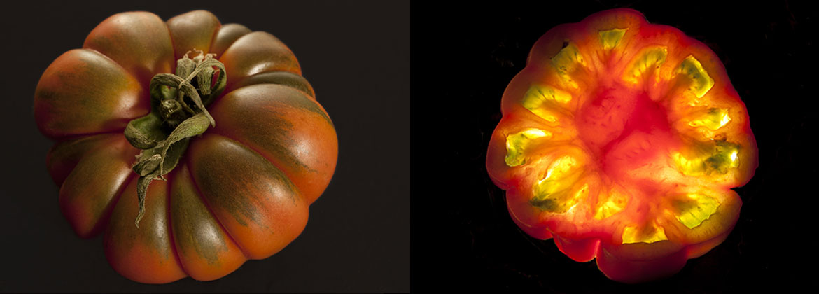 Marinda Tomatoes